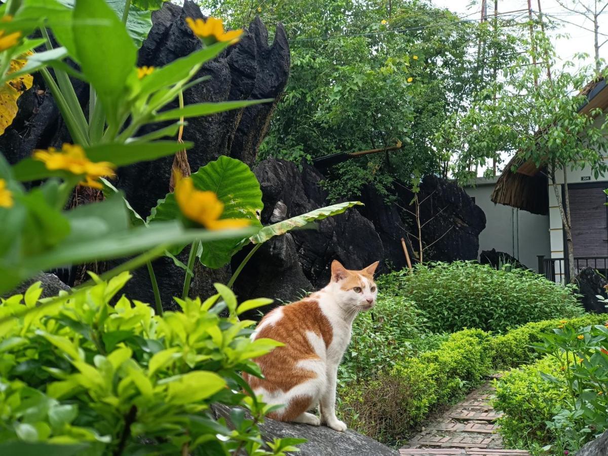 Wings Ha Giang Loop Bungalow ภายนอก รูปภาพ